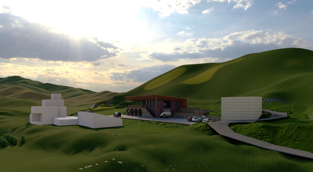 The project of a factory on Chiva-Areni road