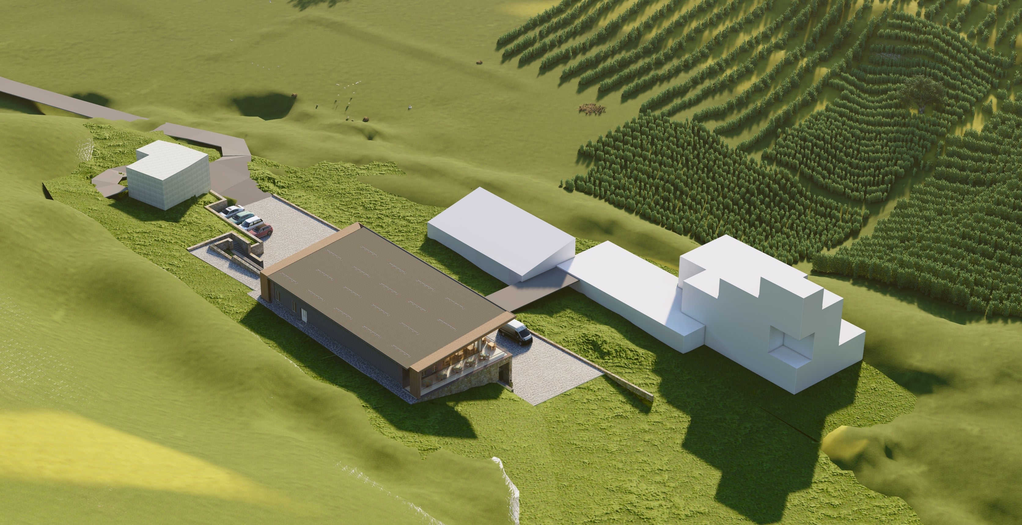 The project of a factory on Chiva-Areni road